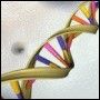 DNA analiza komputerowa