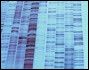 sekwnecjonowanie DNA