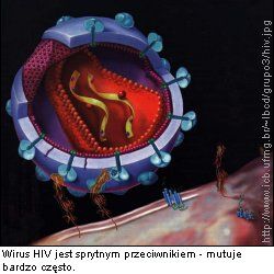 wirus HIV