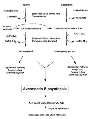 Metabolity zaangażowane w biosyntezę awermektyn
