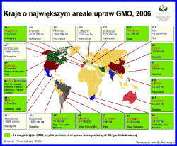GMO Raport 2007