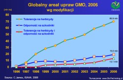GMO Raport 2007